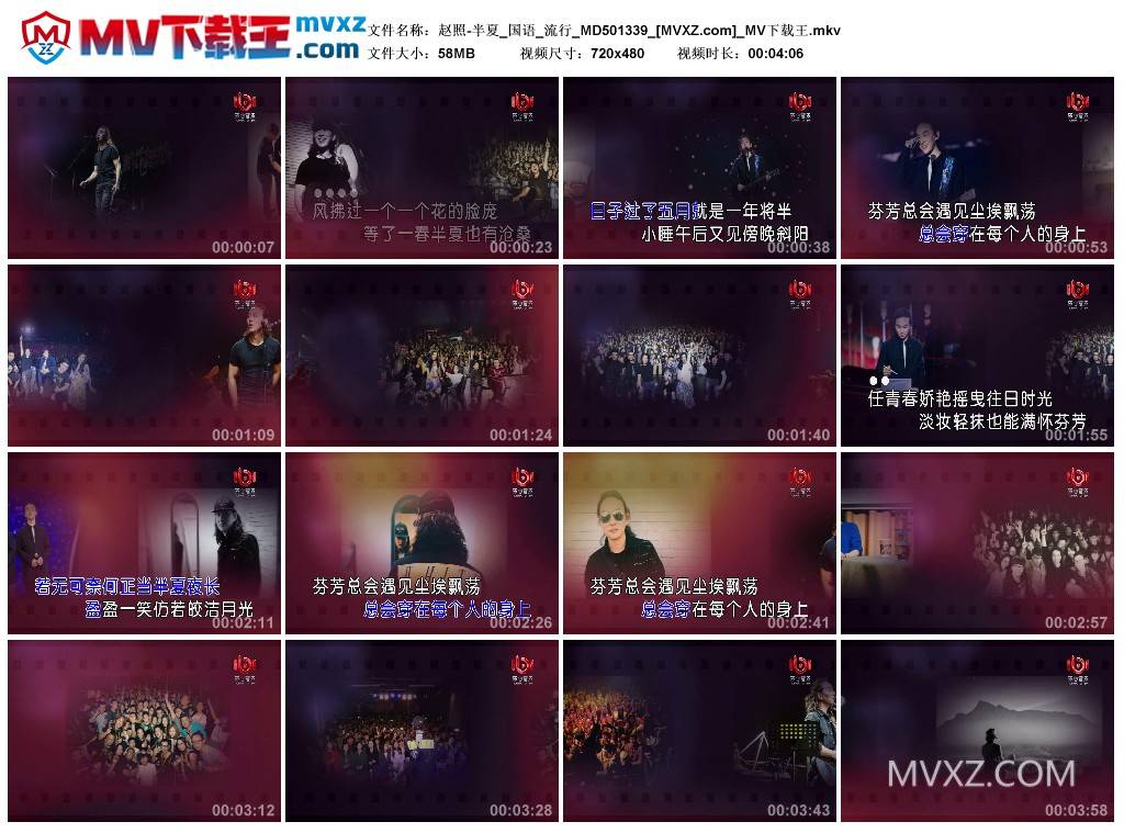 赵照-半夏_国语_流行_MD501339